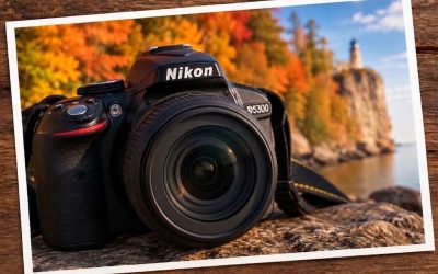 10 Best Places to Photograph Fall Colors Near Duluth